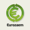 еврозаем лого